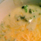 Broccoli Soup – $.92 [IMG_0220