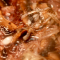 Easy Chicken Marsala – $.99 [DSC_0021