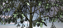 money-tree-1