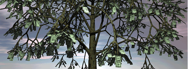 money-tree-1