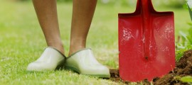 gardening