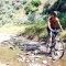 Fitness on the Cheap fitness on the cheap, biking, walking, running