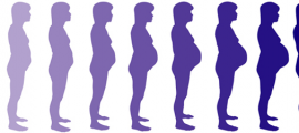 prego